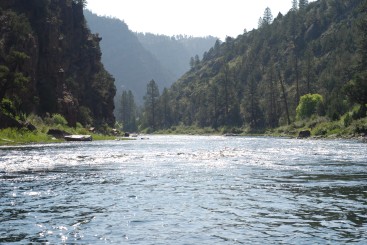 Scenic River shot of the Green River, UT. Most beautiful place I've fished. 
